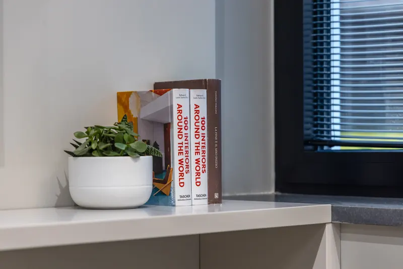 Libri e pianta sulla scrivania, Santopaolo 4